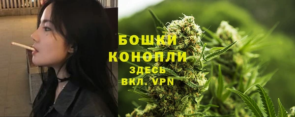 метадон Белокуриха