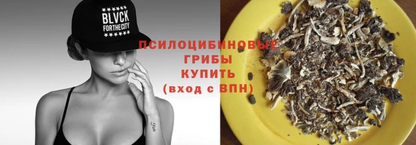 метадон Белокуриха