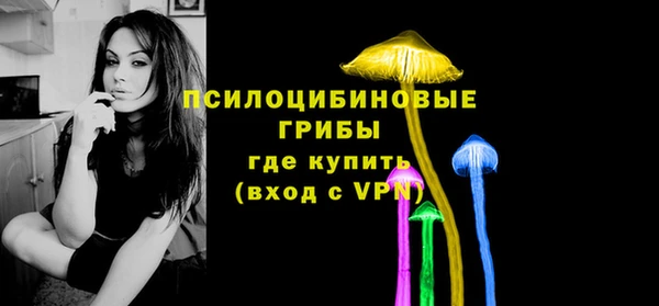 метадон Белокуриха