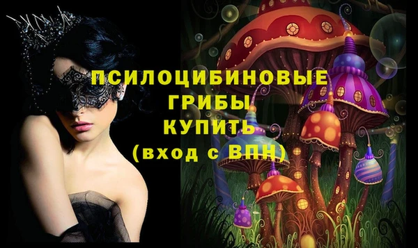 бошки Беломорск