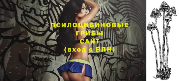 молекула духа Белоозёрский